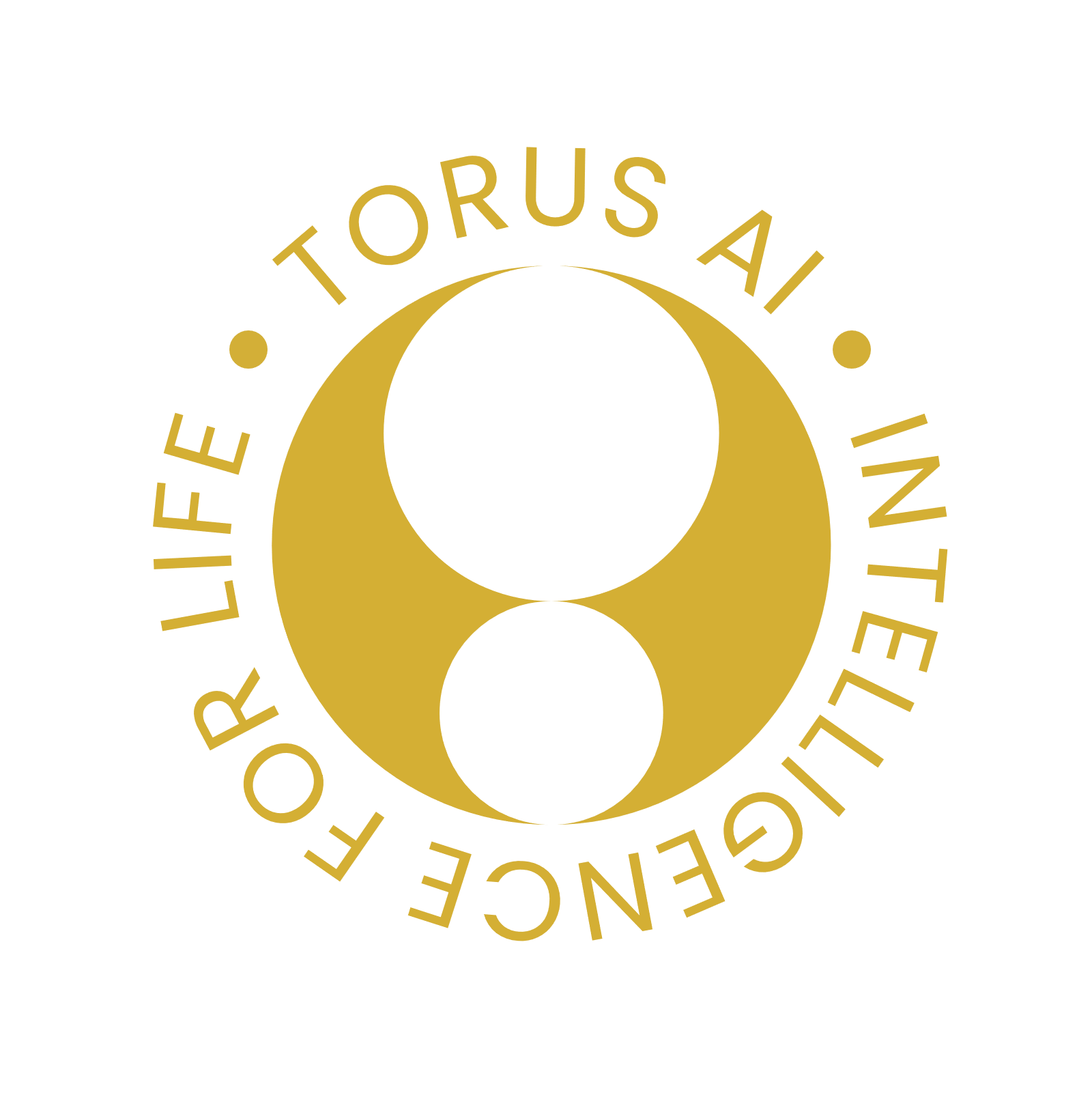 Torus AI blogs