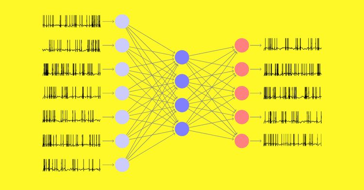 Unsupervised Learning in Spiking Neural Networks