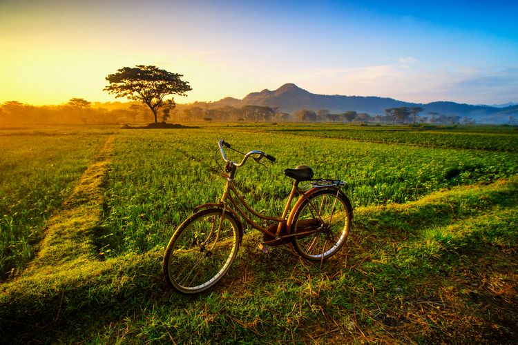 Generation through Cycle Training