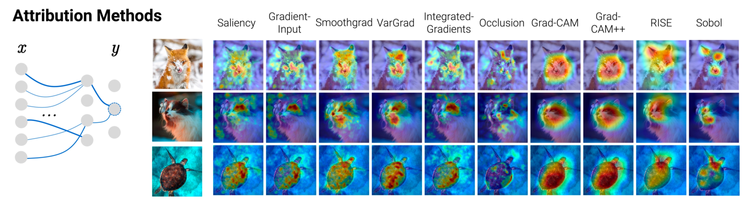 Gradient Strikes Back: How Filtering Out High Frequencies Improves Explanations