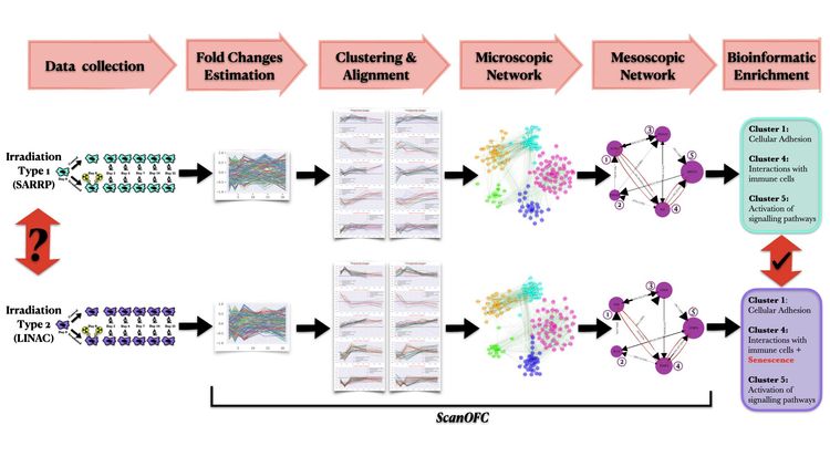 Statistical Modeling and Analysis of Radio-Induced Adverse Effects Based on In Vitro Data