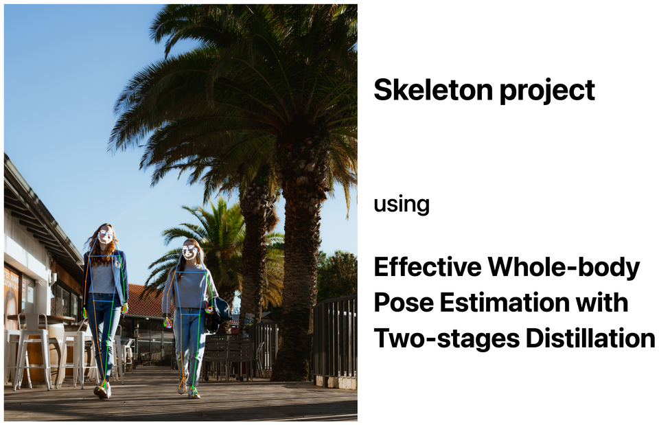 Skeleton project with DWPose