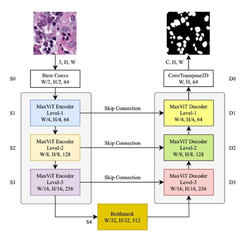MAXVIT-UNET: MULTI-AXIS ATTENTION FOR MEDICAL IMAGE SEGMENTATION